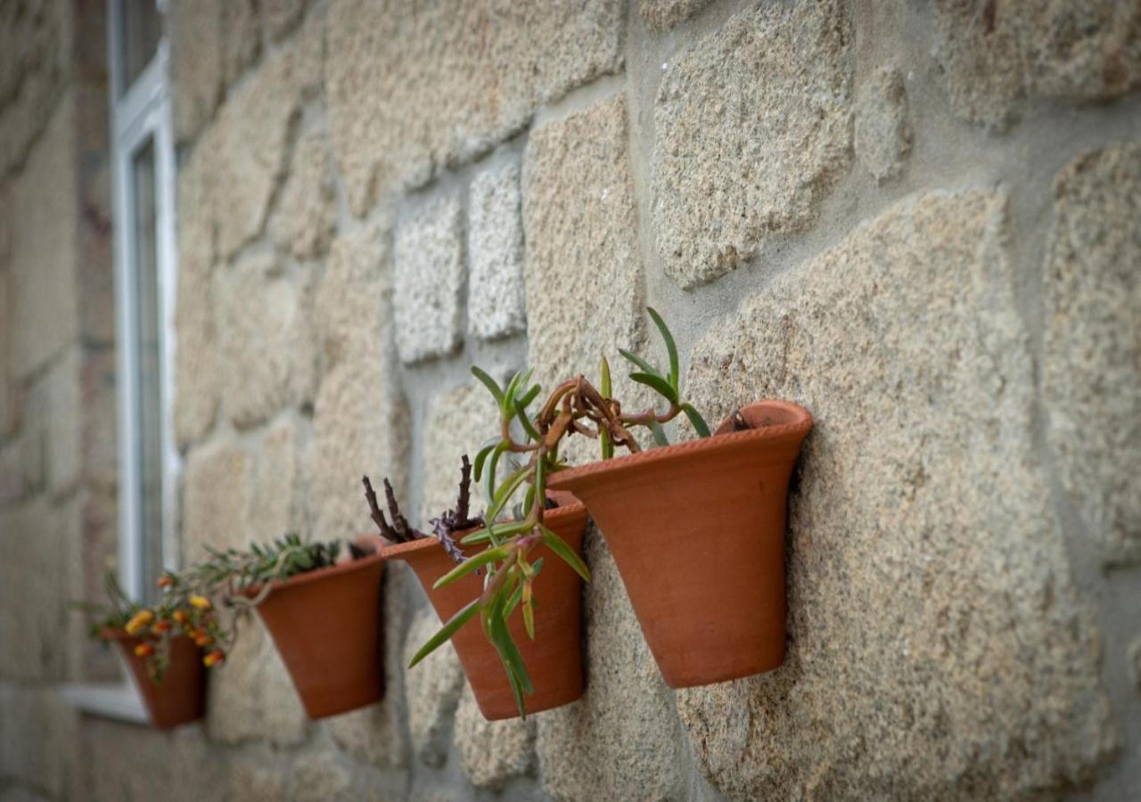 Casa Moiano ξενώνας Oliveira do Hospital Εξωτερικό φωτογραφία