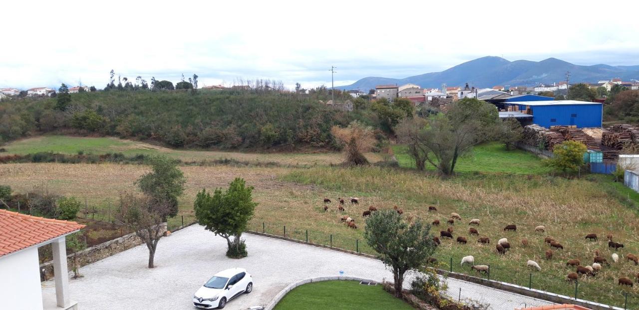 Casa Moiano ξενώνας Oliveira do Hospital Εξωτερικό φωτογραφία